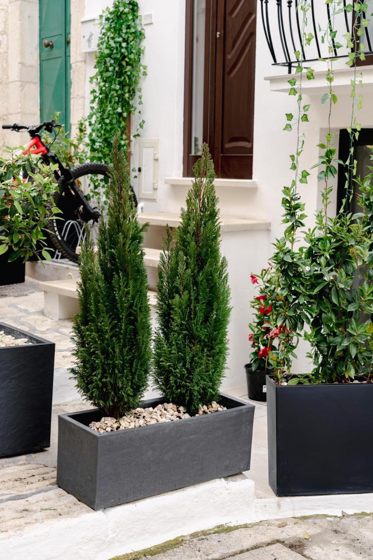 La Maison Ostuni Extérieur photo
